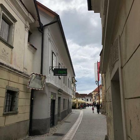 Apartma Linhartov Trg Radovljica Exteriér fotografie