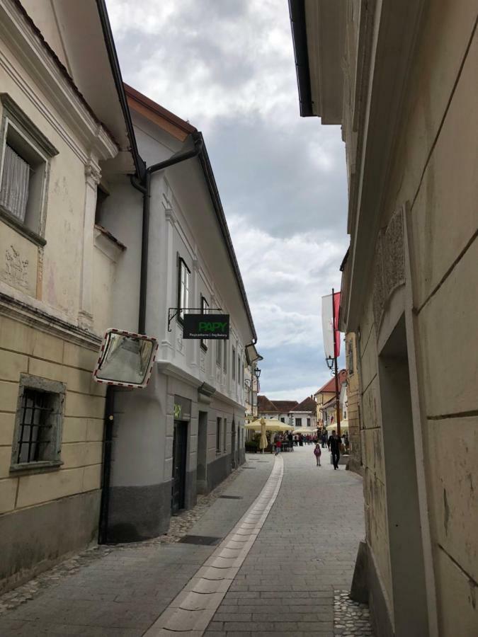 Apartma Linhartov Trg Radovljica Exteriér fotografie