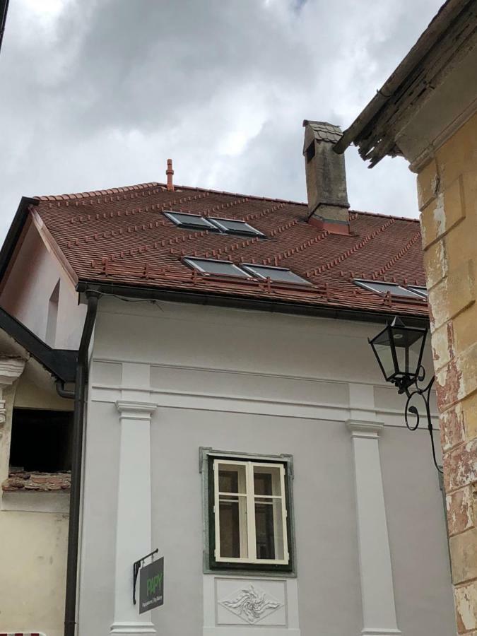 Apartma Linhartov Trg Radovljica Exteriér fotografie