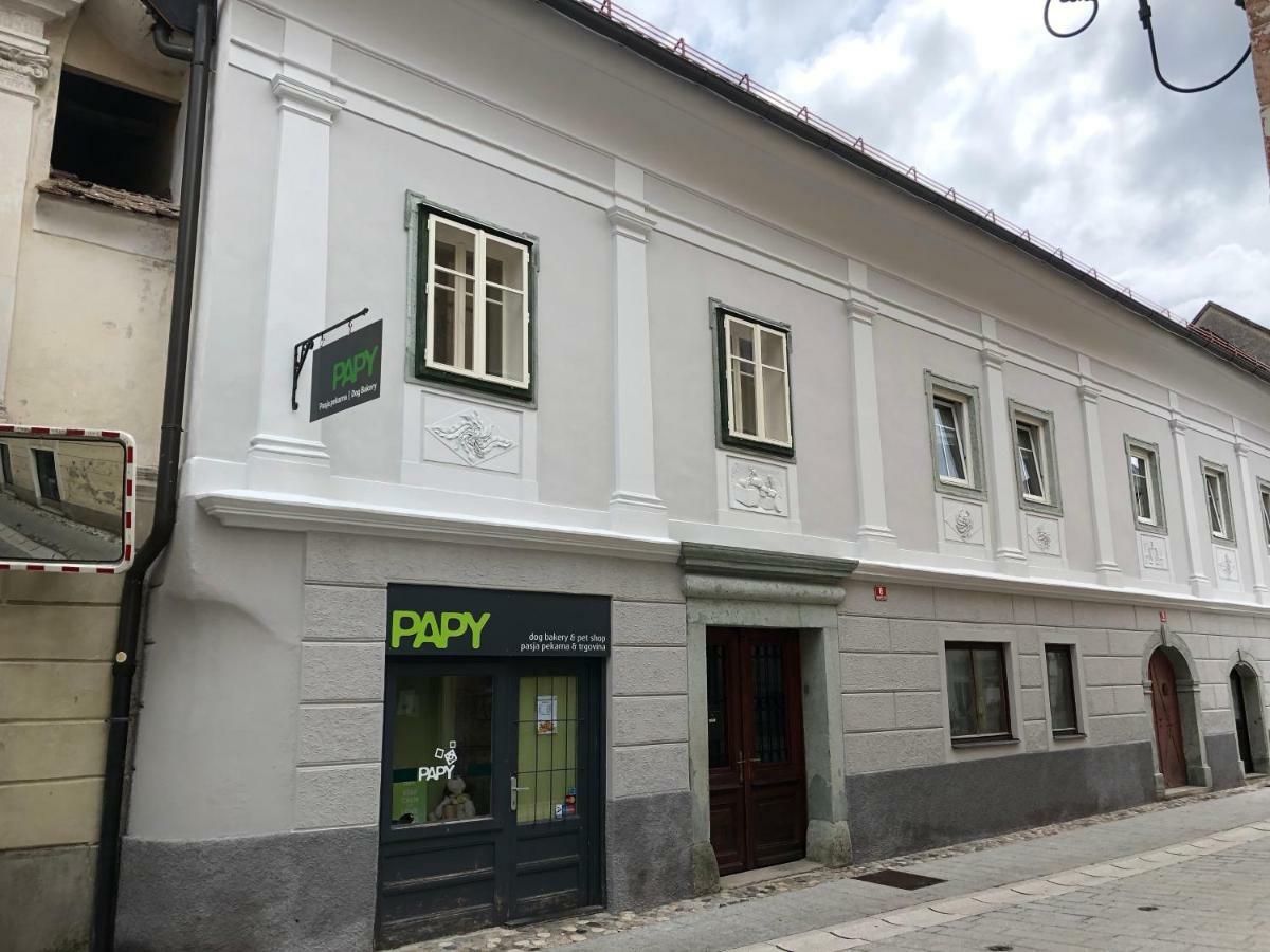 Apartma Linhartov Trg Radovljica Exteriér fotografie